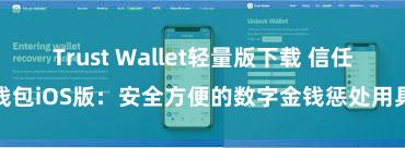 Trust Wallet轻量版下载 信任钱包iOS版：安全方便的数字金钱惩处用具