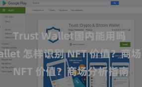 Trust Wallet国内能用吗 Trust Wallet 怎样识别 NFT 价值？商场分析指南